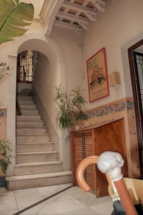 Penthouse With Large Terrace In Center Of Cadiz Lägenhet Exteriör bild